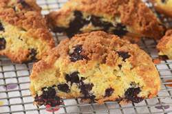 Image of Blueberry Streusel Scones Tested Recipe, Joy of Baking