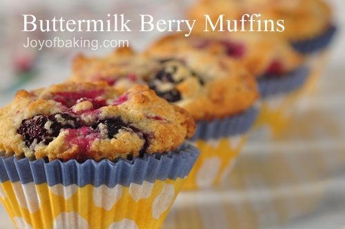 low buttermilk fat recipes: milk Buttermilk Joyofbaking.com biscuit with  fat how to low Muffins  make Berry