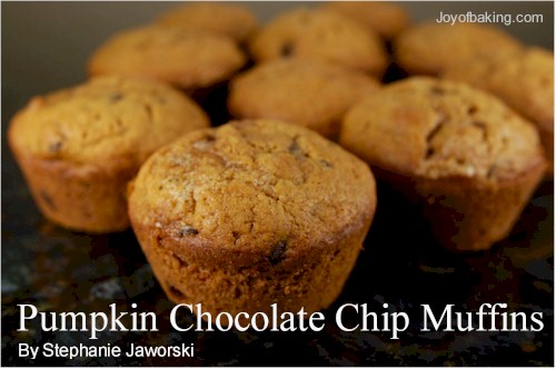 Pumpkin Chocolate Chip Muffins Recipe