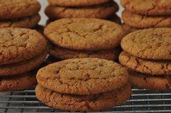 Image of Molasses Cookies Tested Recipe, Joy of Baking