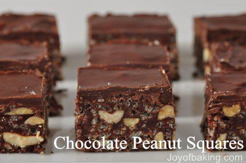 Chocolate Peanut Squares Recipe