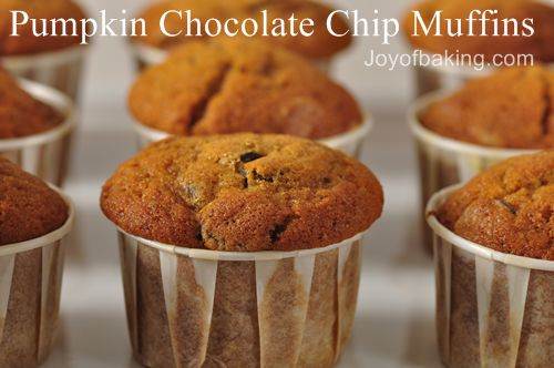Pumpkin Chocolate Chip Muffins Recipe