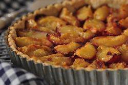 Image of Prune Plum Tart Tested Recipe & Video, Joy of Baking
