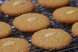 Image of Speculaas Tested Recipe, Joy of Baking